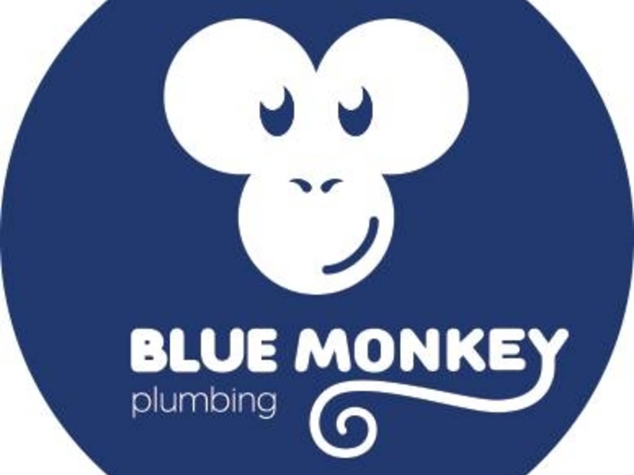 photo Blue Monkey Plumbing LTD.