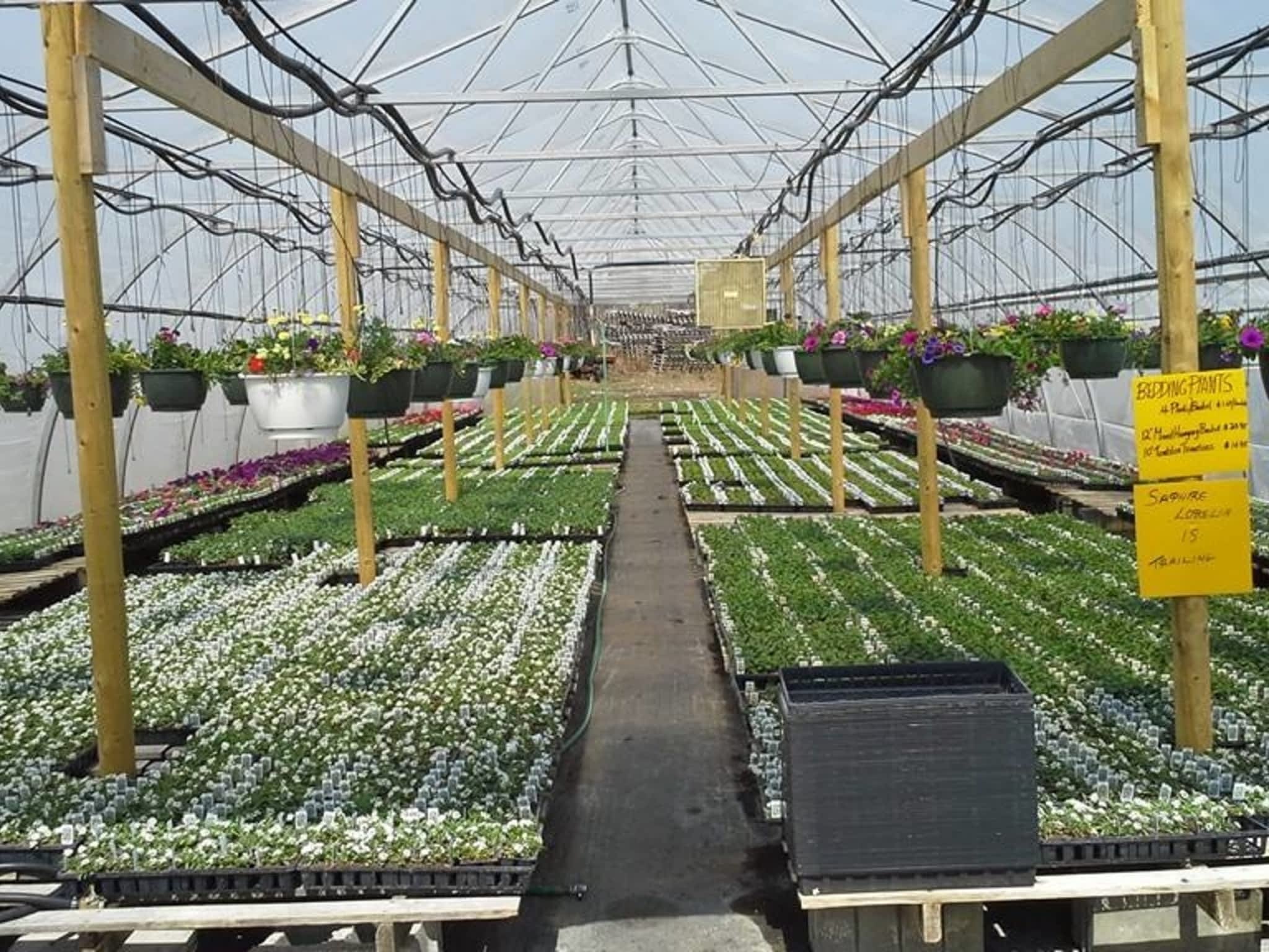 photo van Roode Greenhouses