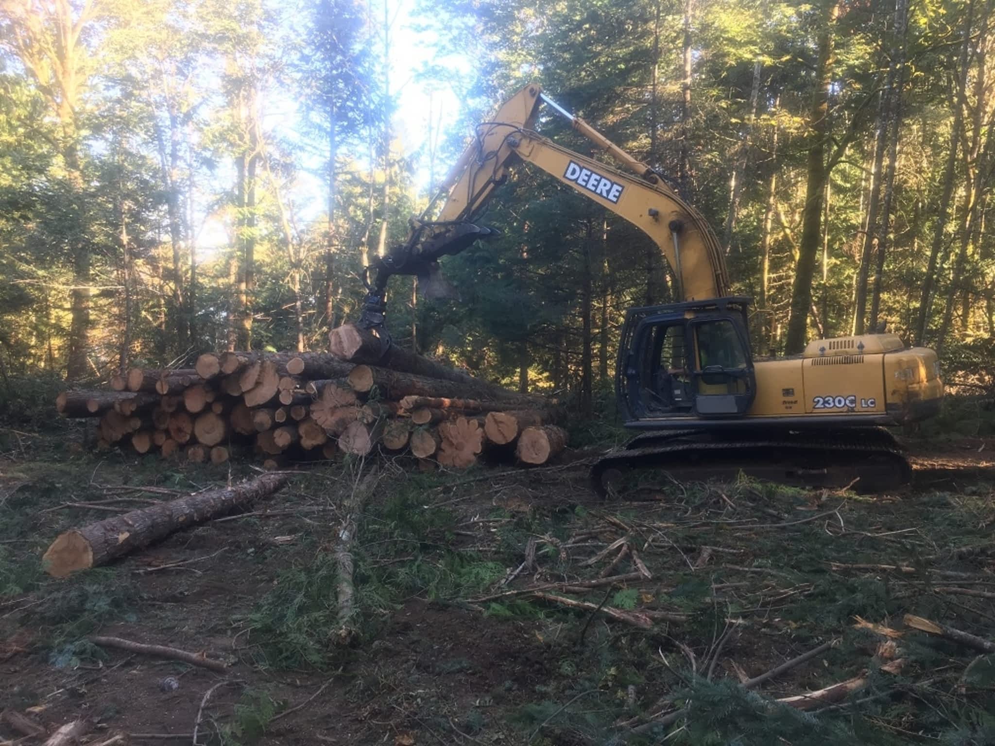 photo Heartwood Tree Service
