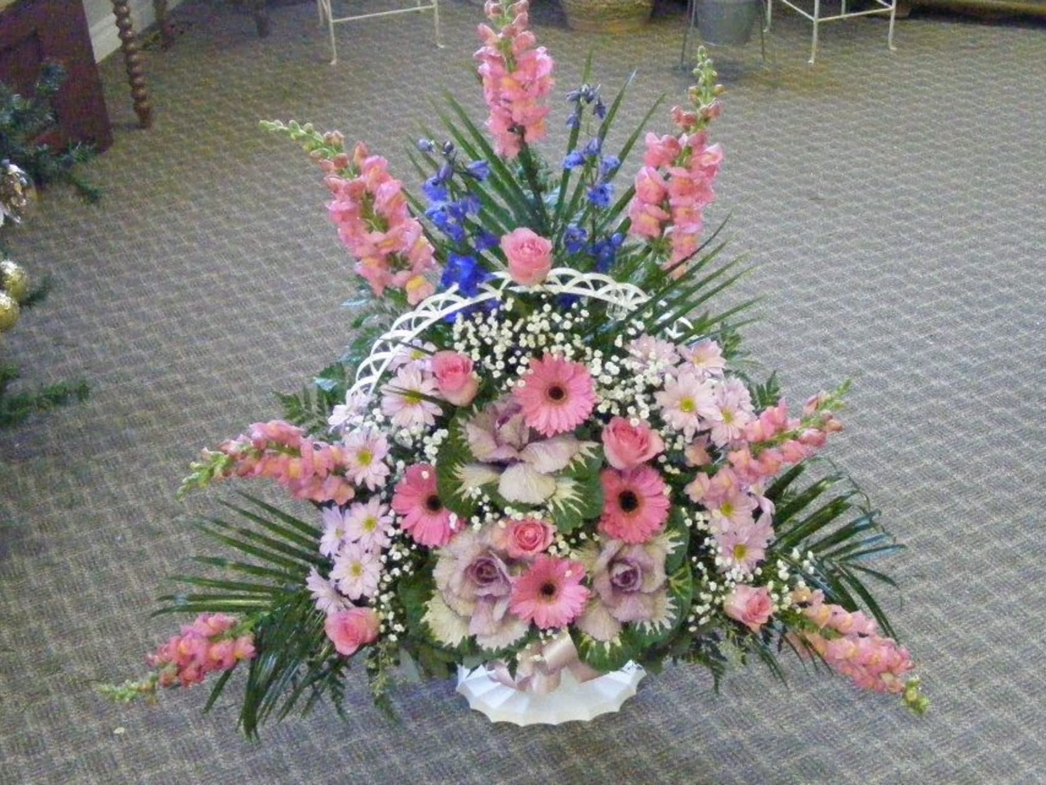 photo Blooms Flowers