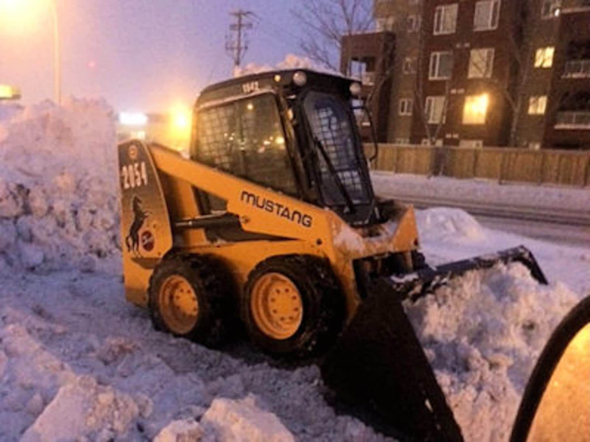 photo Evergreen Turf Southern Alberta