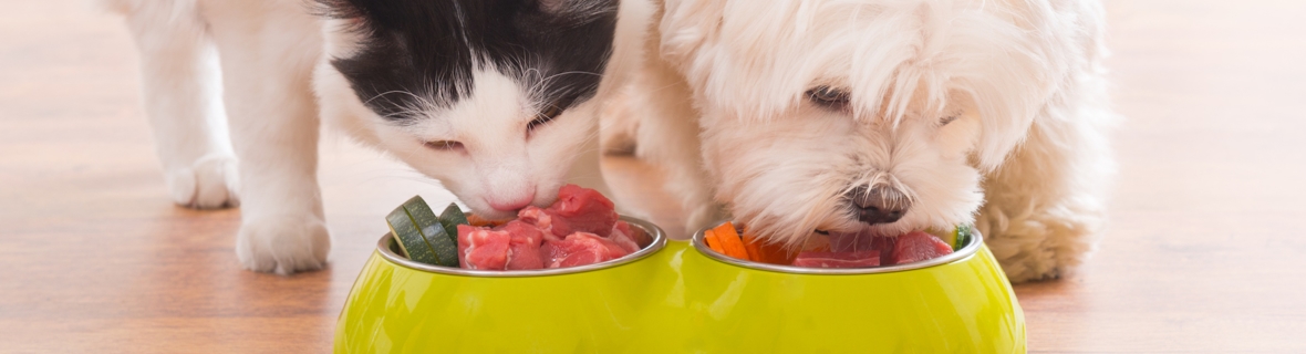 Where to get pet food in Montreal