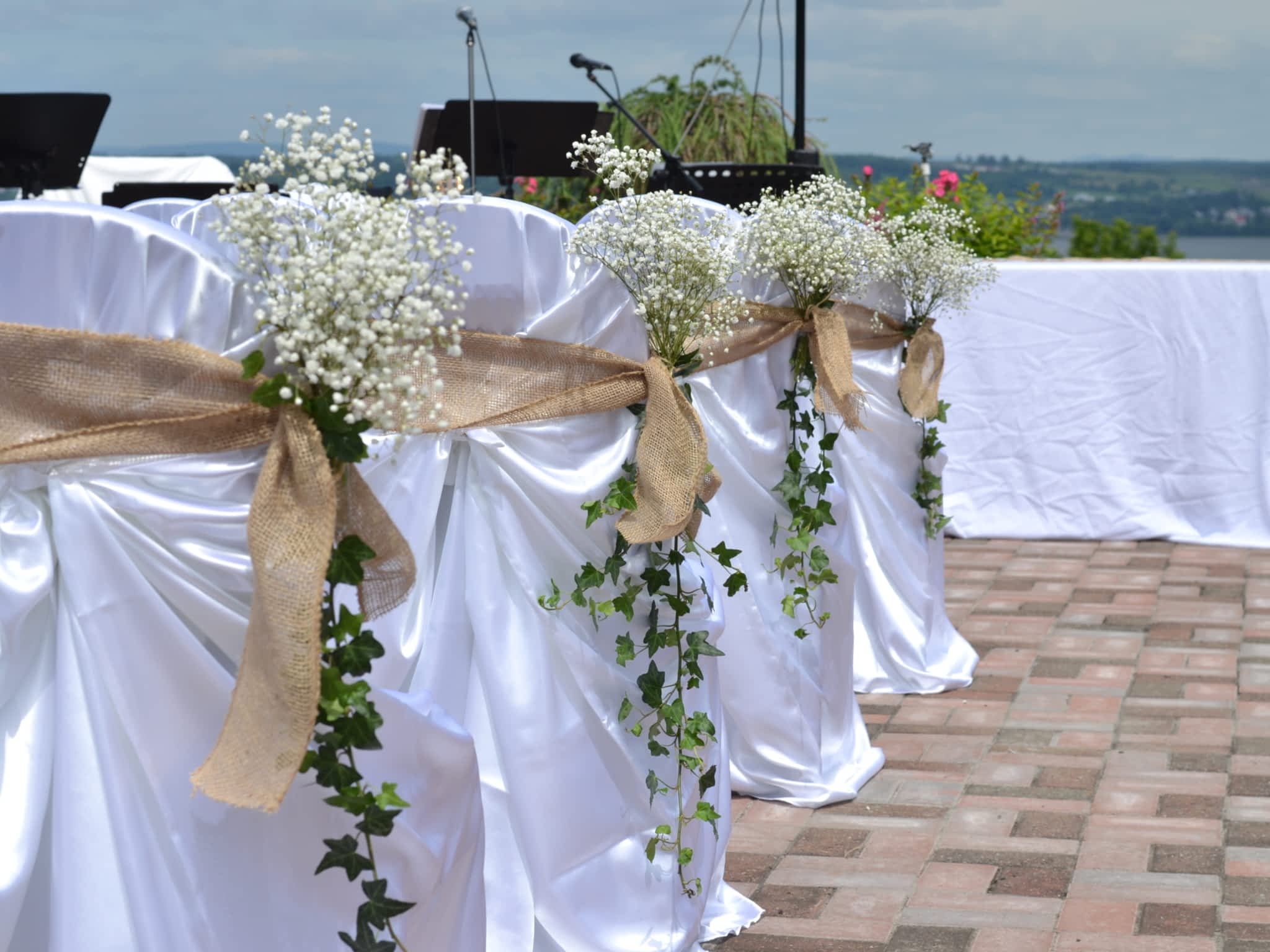 photo Fleurs De Laurier