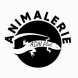 Voir le profil de Animalerie ADN Plus - Pierrefonds