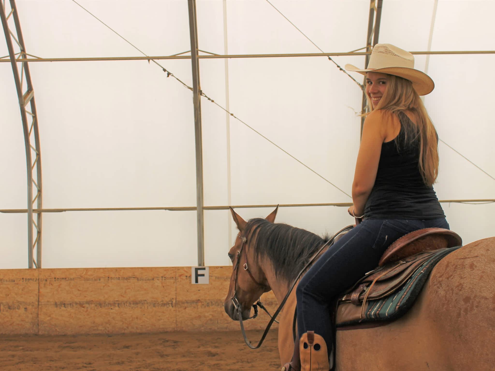 photo Les Écuries Pcd