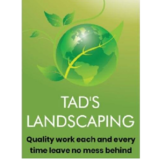View Tad's Landscaping’s London profile