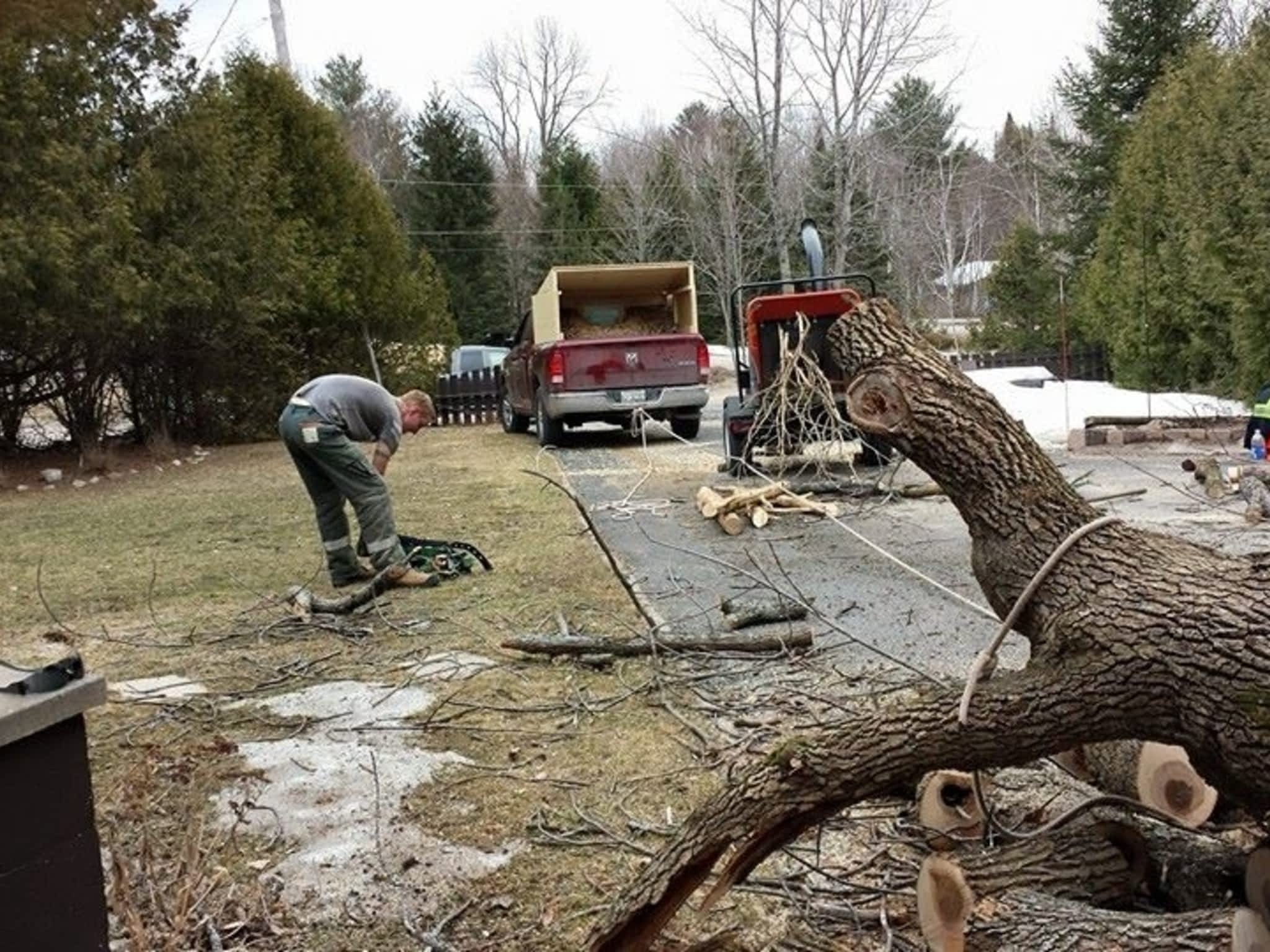 photo Trinity Tree Care and Landscaping