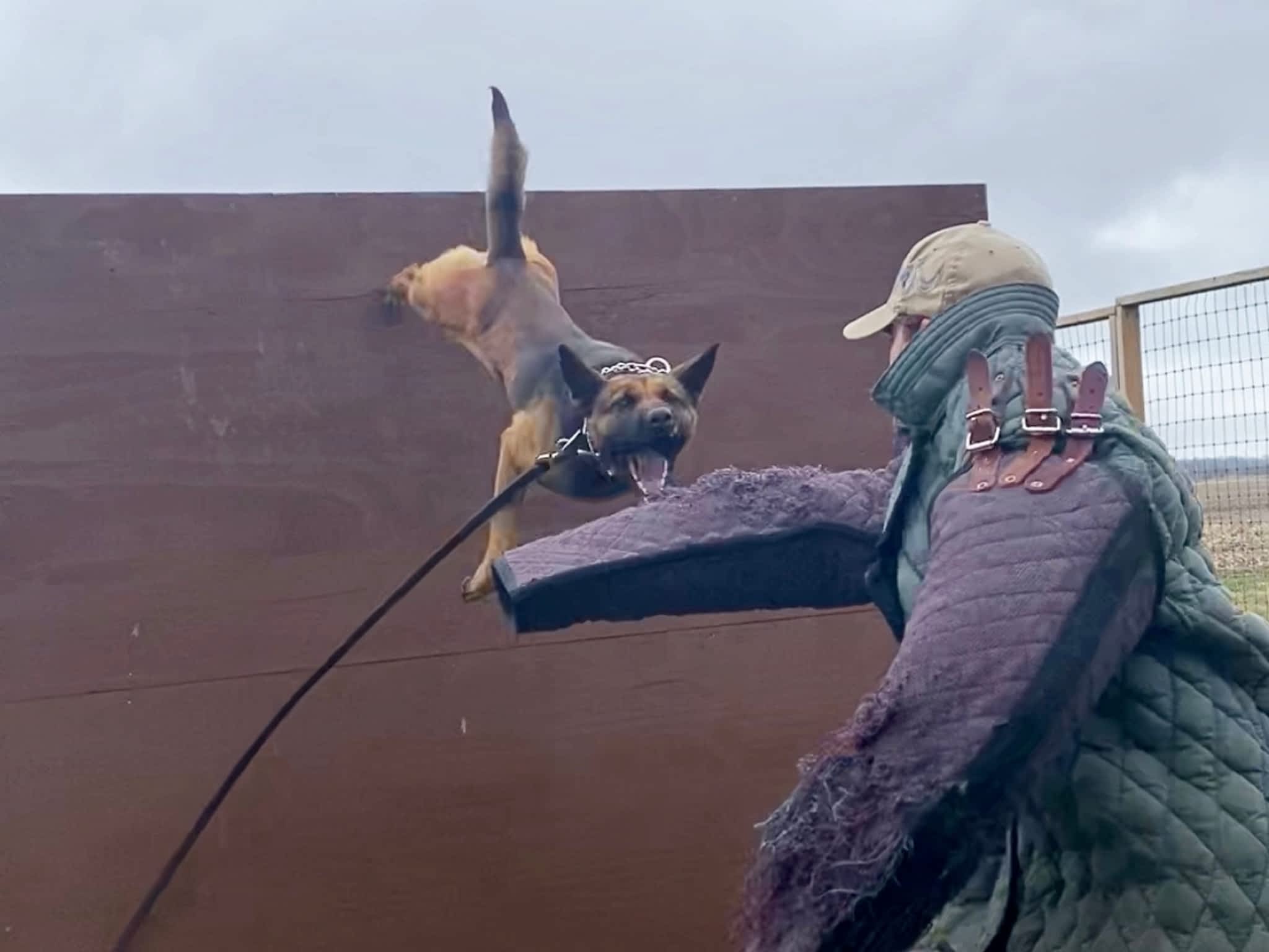 photo Command Control K-9