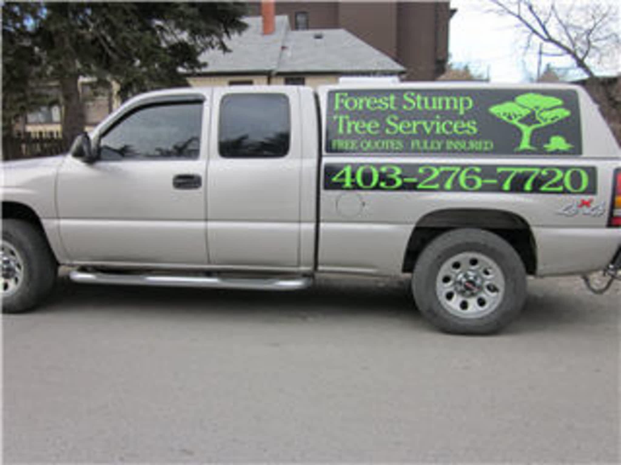 photo Forest Stump Tree Service