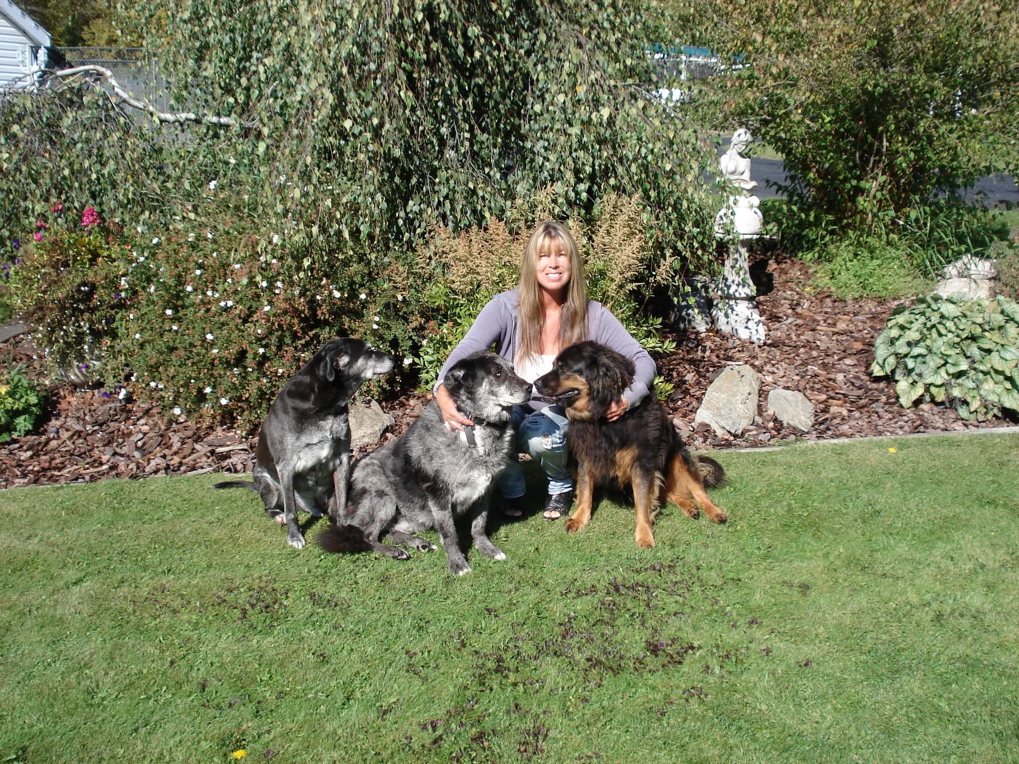 Mackye Kennels Prince BC 7955 Old Summit Lake Rd Canpages