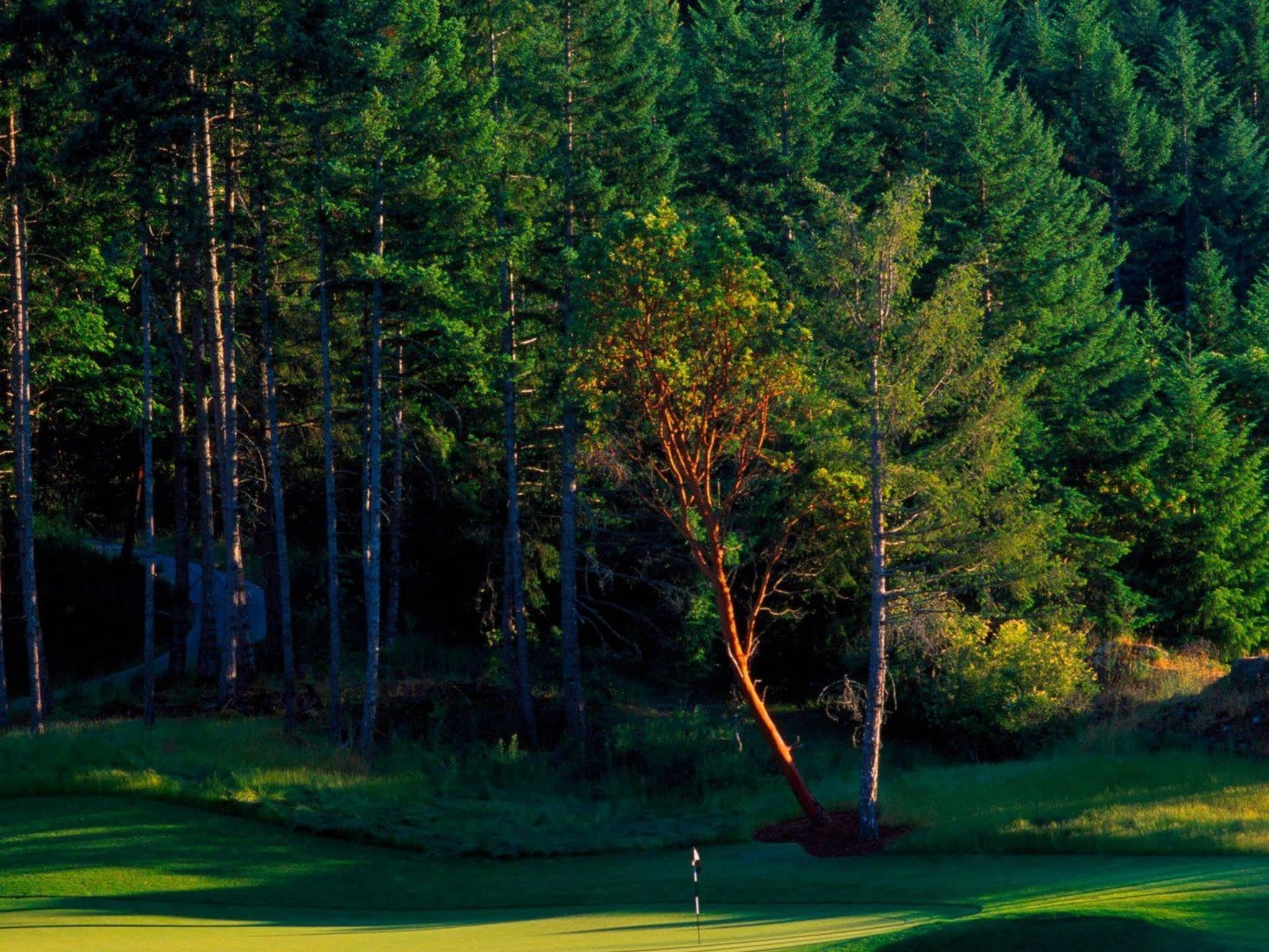 photo The Westin Bear Mountain Golf Resort & Spa, Victoria