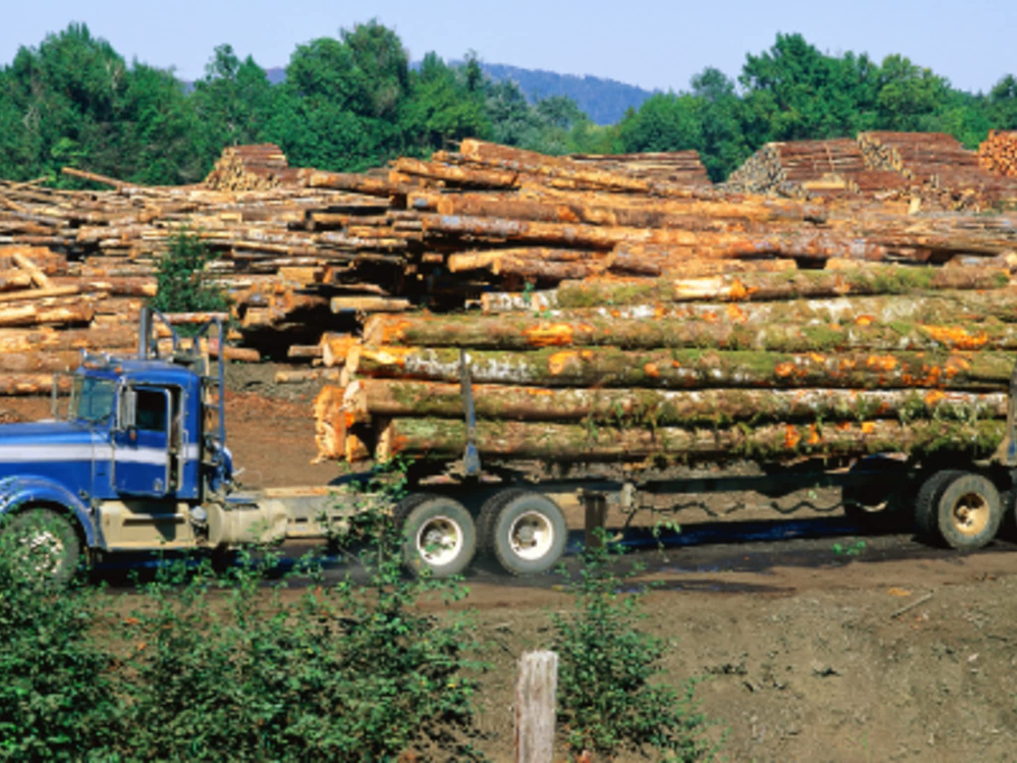 photo Dean Lambert Enterprizes