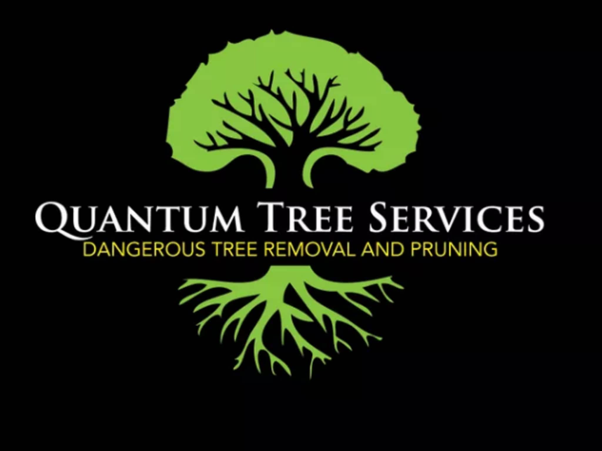photo Quantum Tree Services