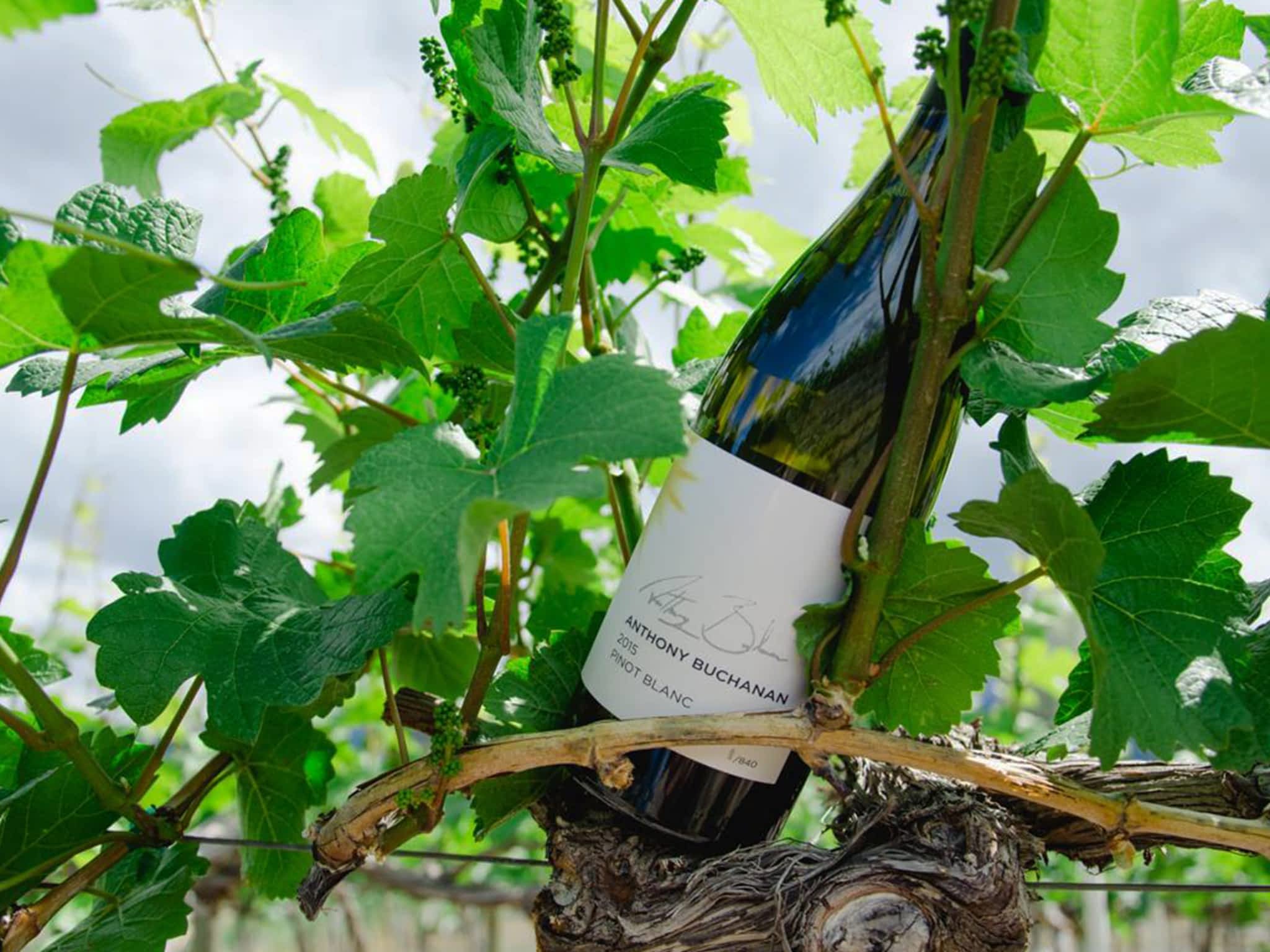 photo Keystone Creative Studios