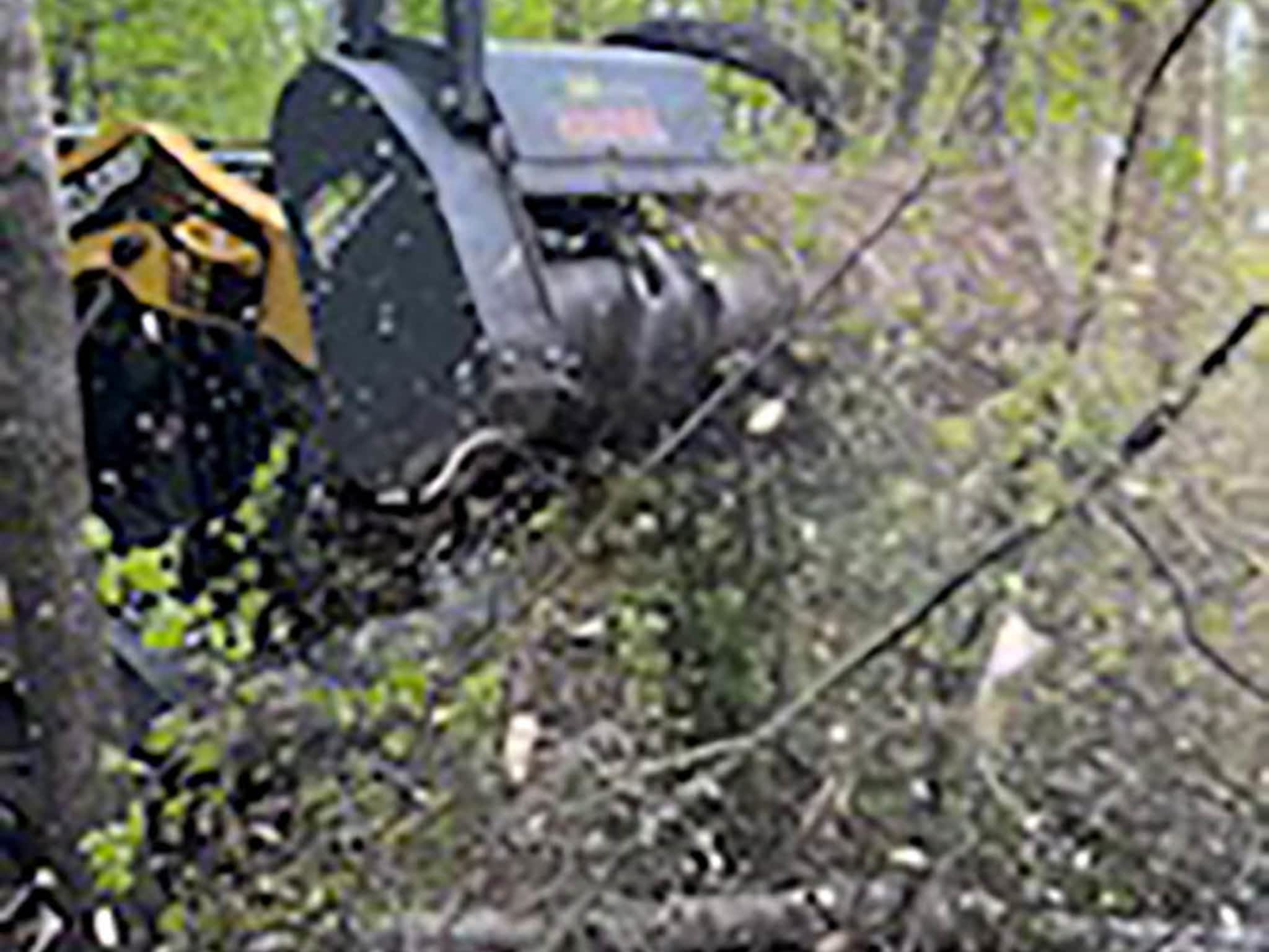 photo Skid Steer Services Mulching