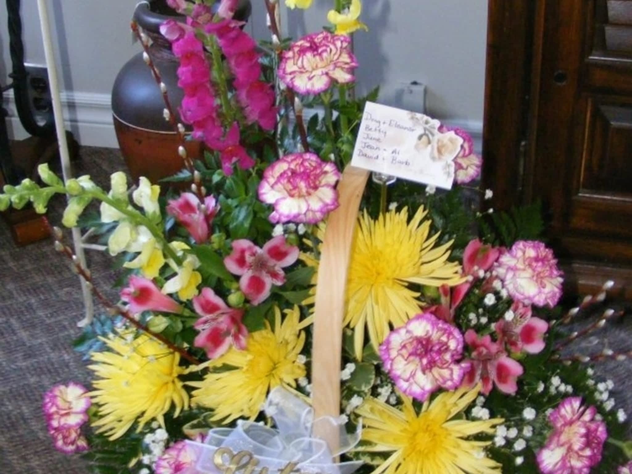 photo Blooms Flowers