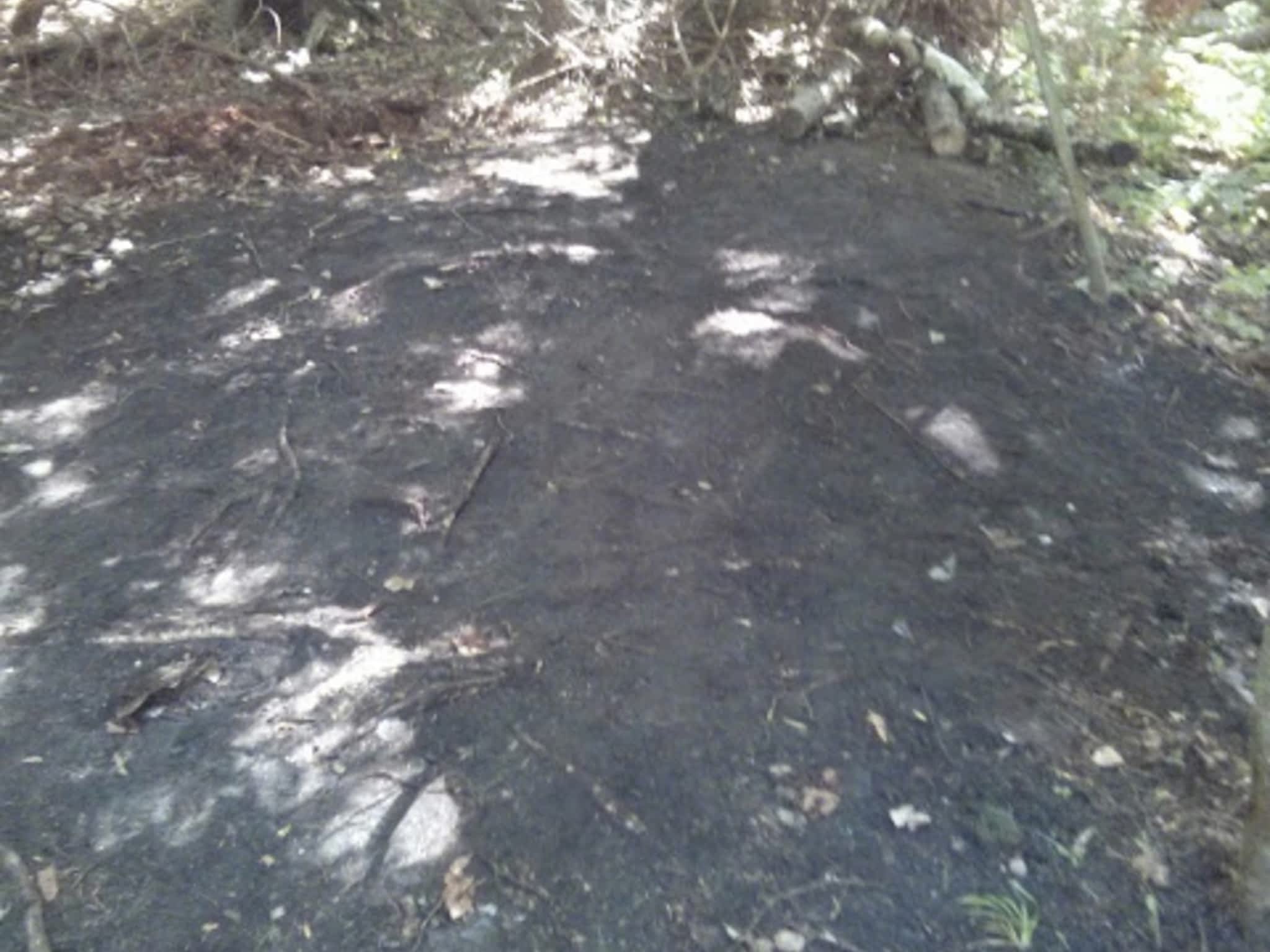 photo Goodbye Junk Cleanup & Bin Rental Services