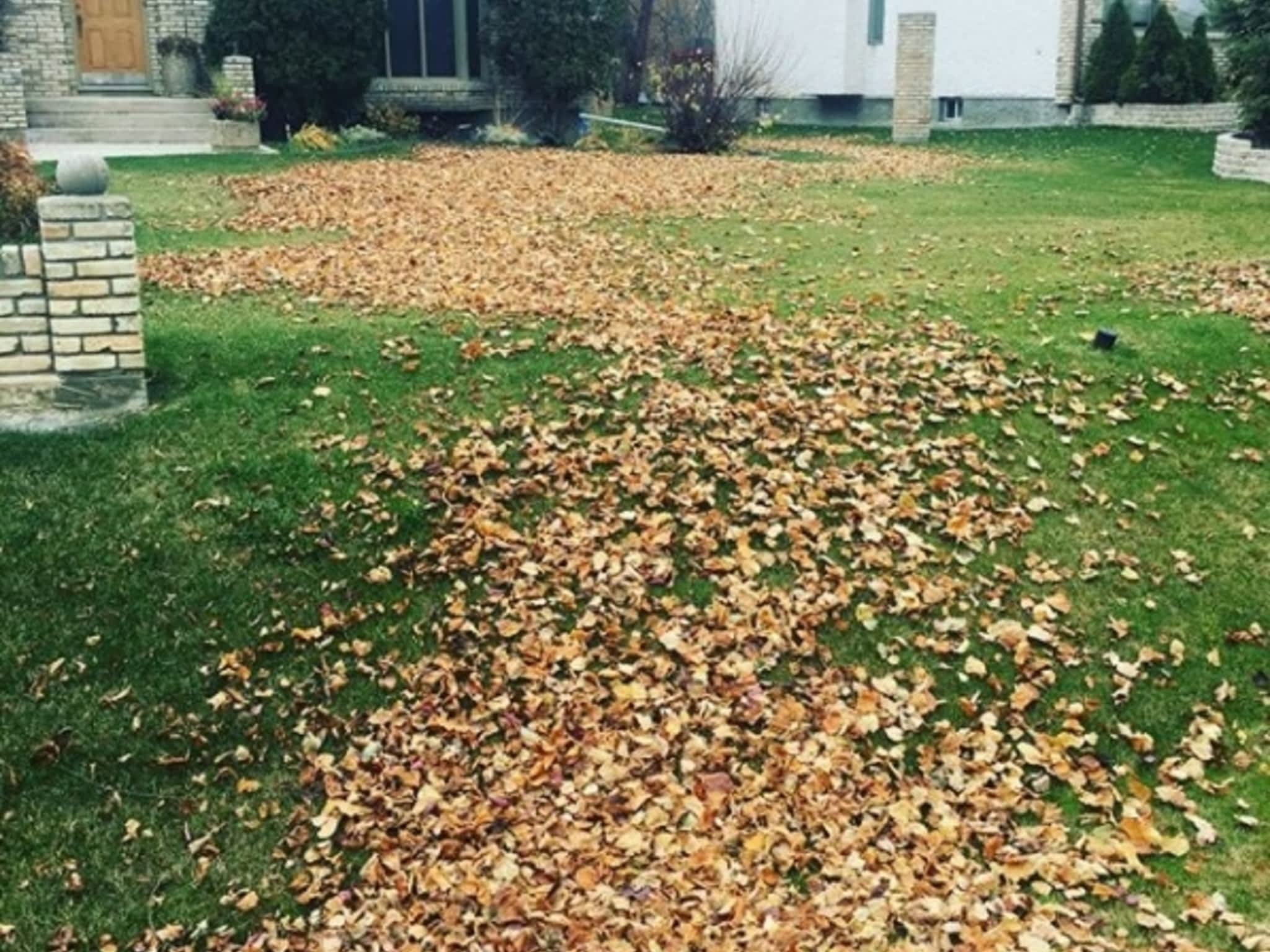 photo Versatile Lawn Solutions