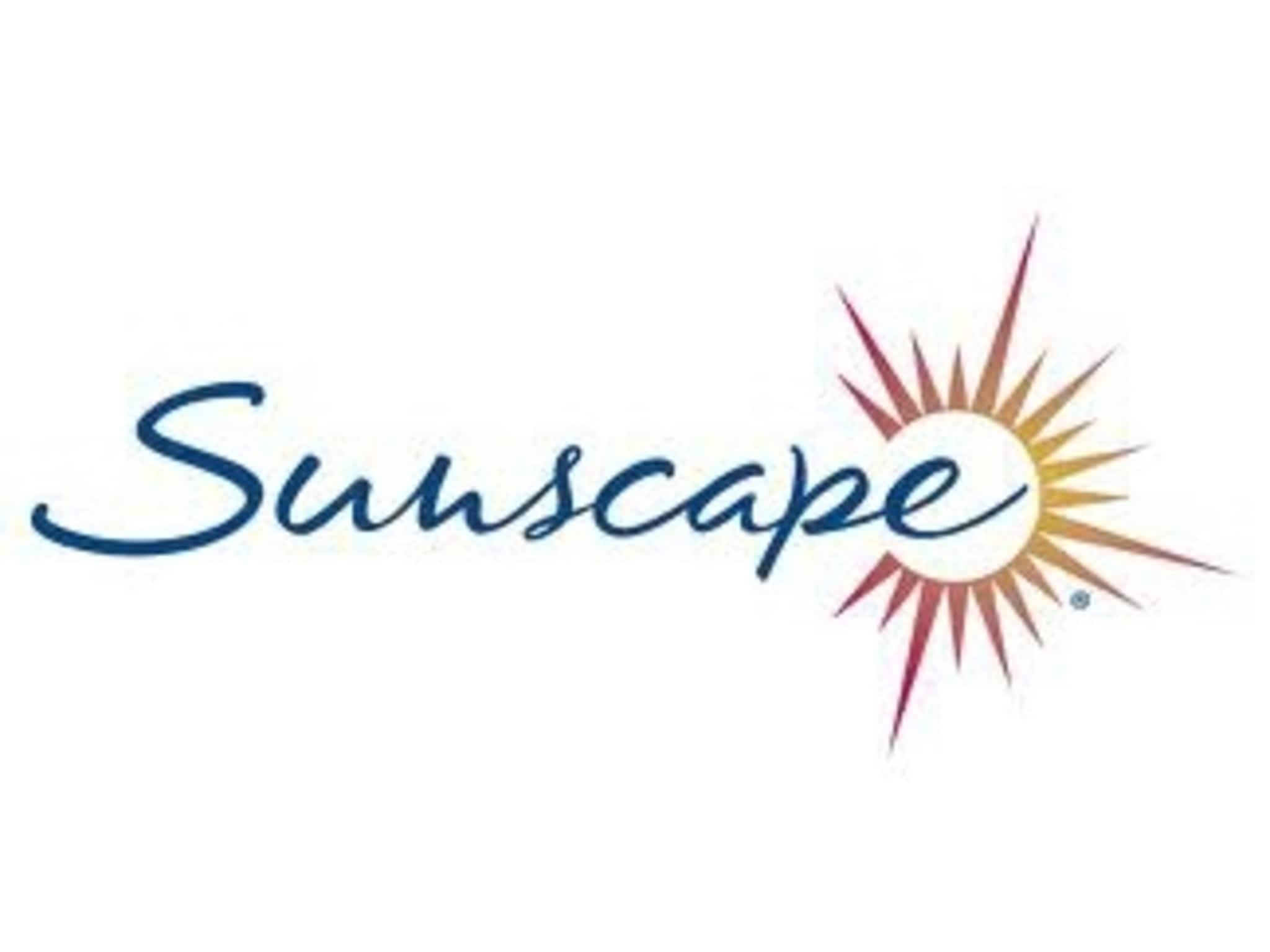 photo CJ Window Tinting