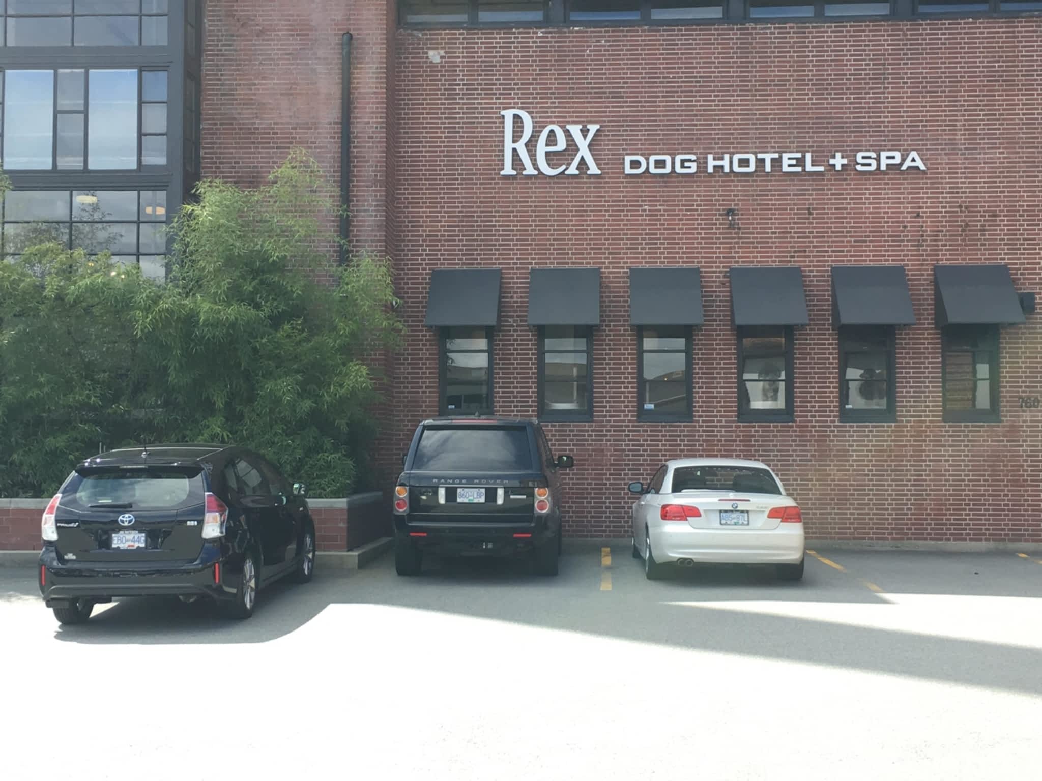 photo Rex Dog Hotel + Spa