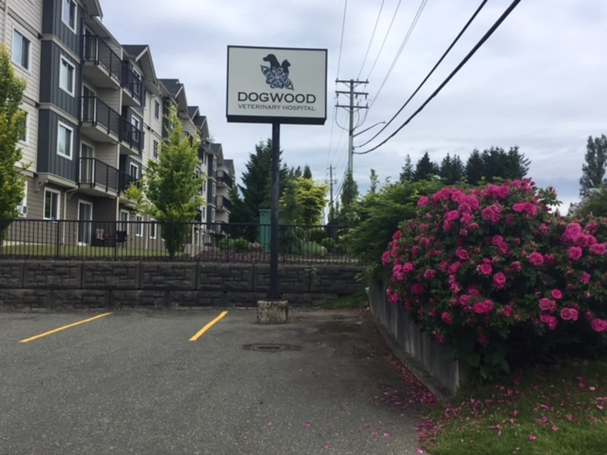 Dogwood Veterinary Hospital Ltd Campbell River, BC 460 Dogwood St S Canpages Dogwood Veterinary Hospital Ltd Campbell River, BC 460 Dogwood St S Canpages