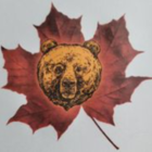 Voir le profil de Canadian Grizzly Renovations Inc. - Ayr