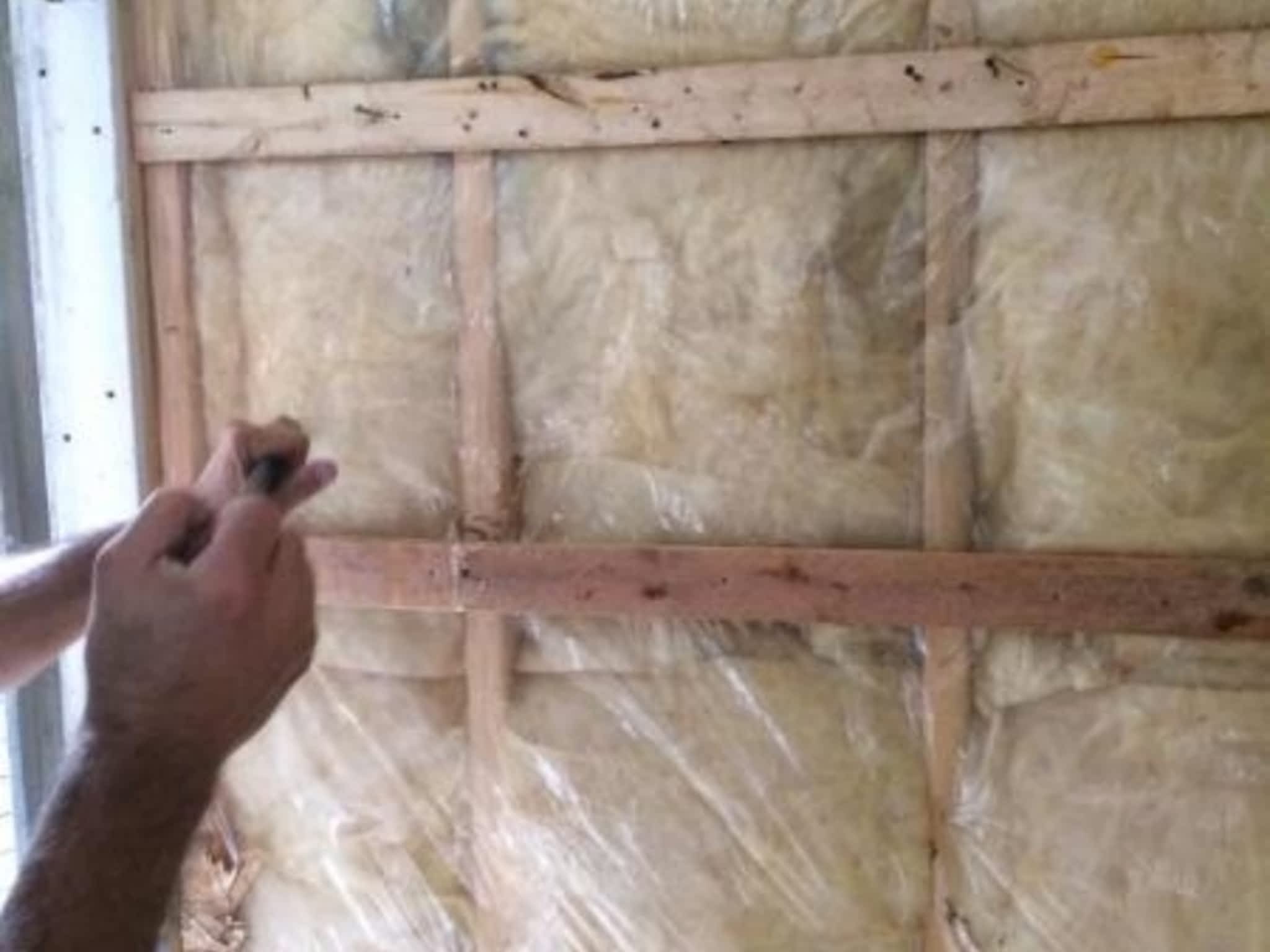 photo BM Extermination