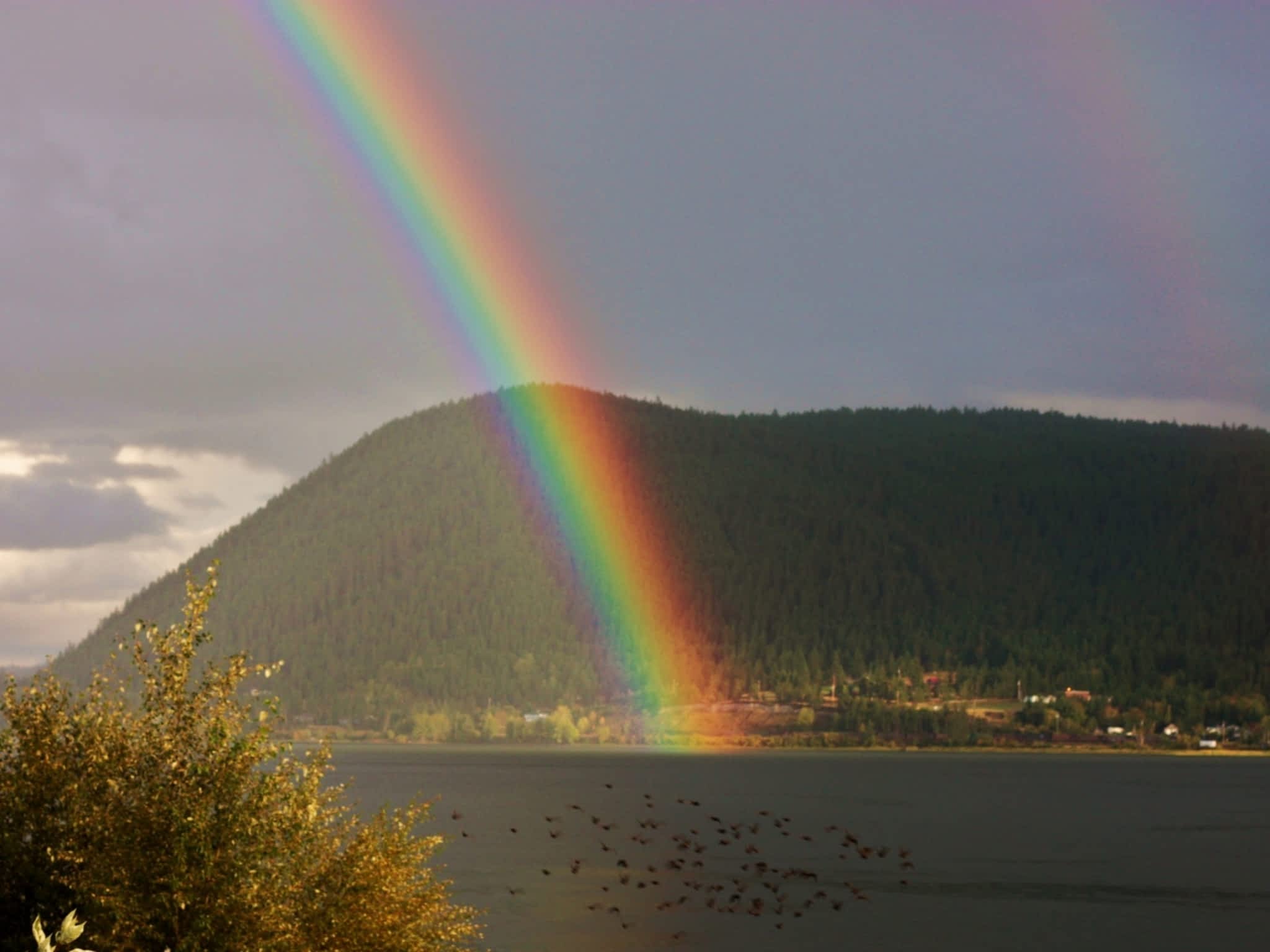 photo Vanderburgh & Co