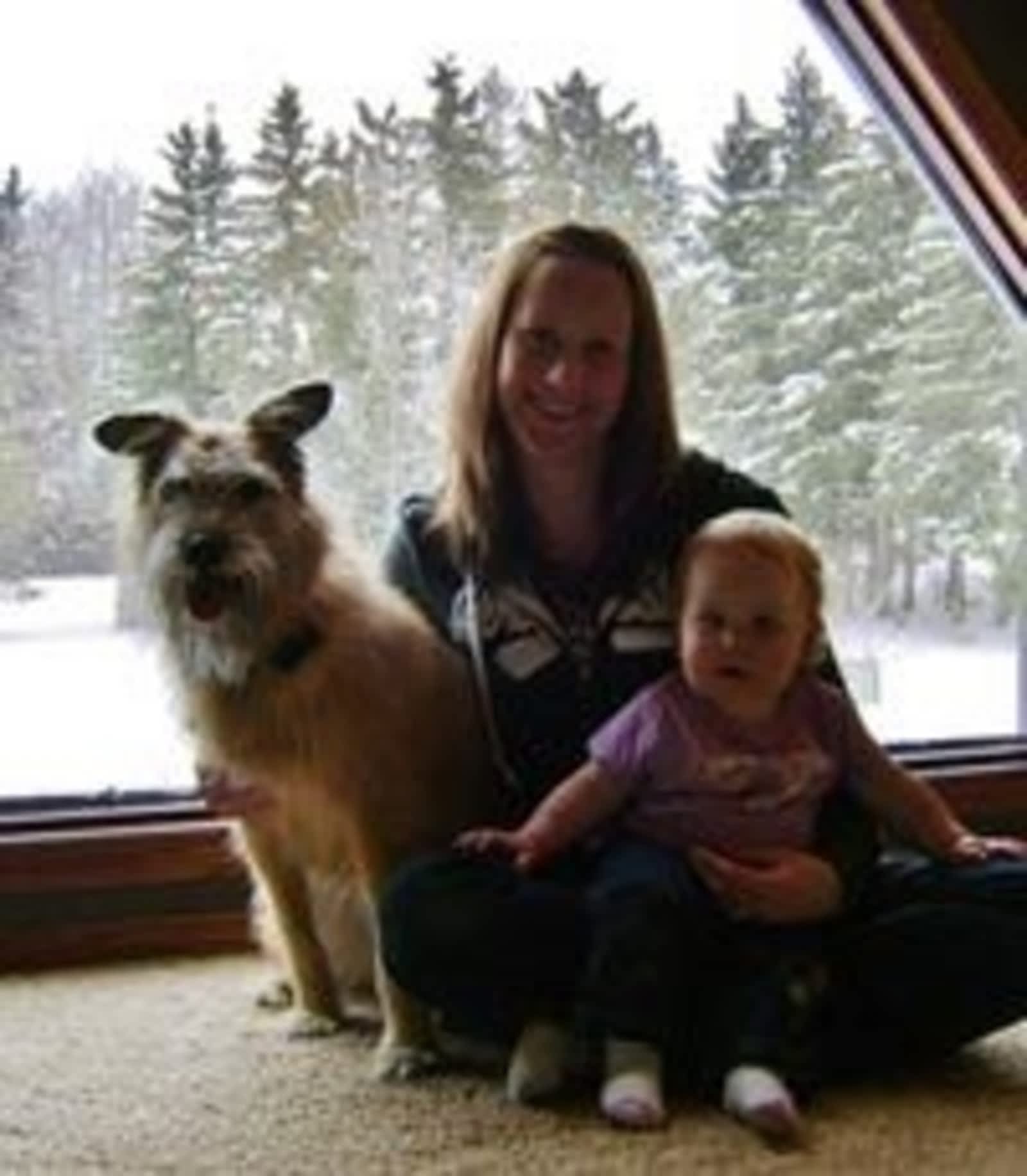 cedarwood animal hospital