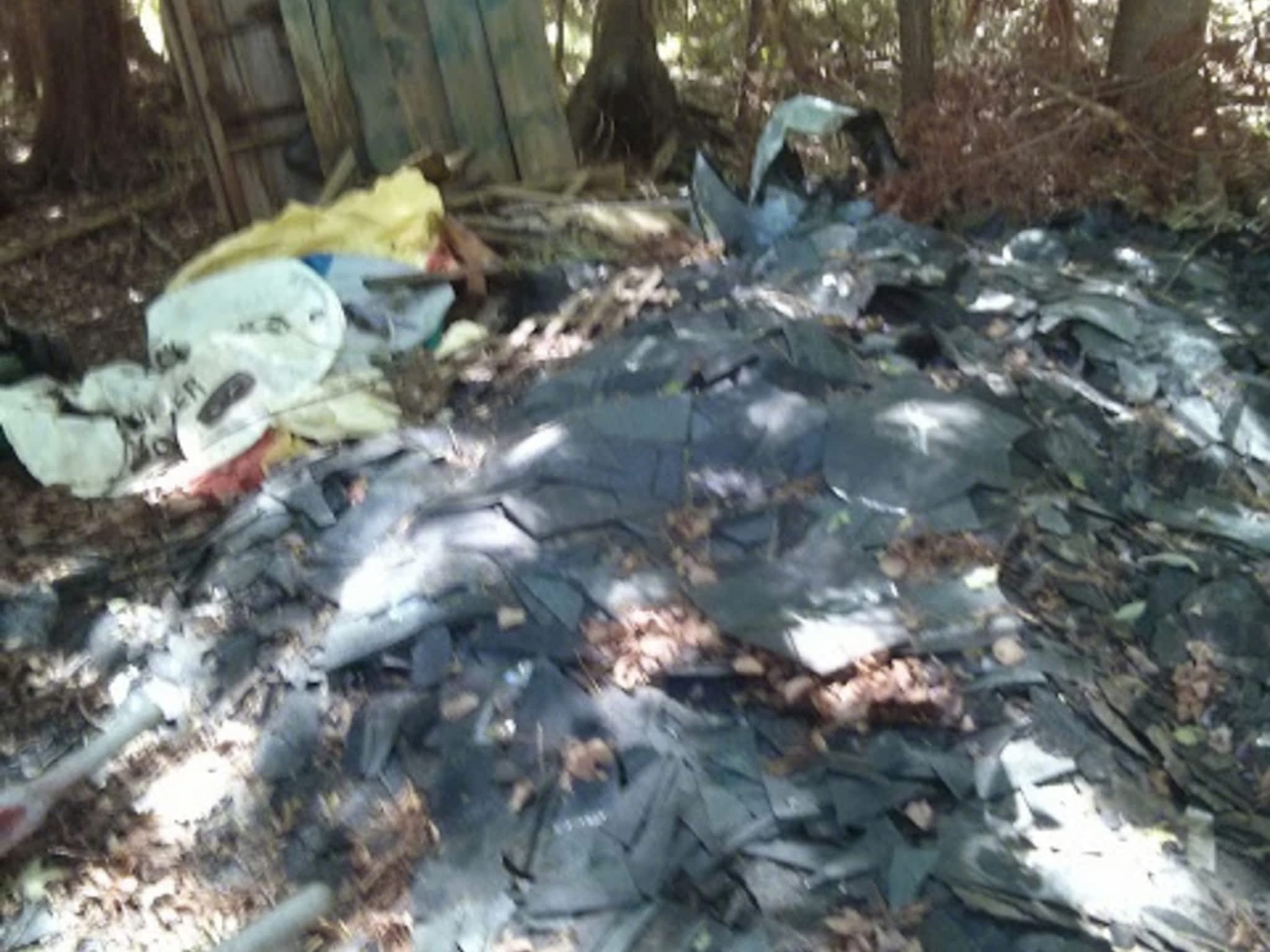 photo Goodbye Junk Cleanup & Bin Rental Services