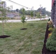 greenside up landscaping