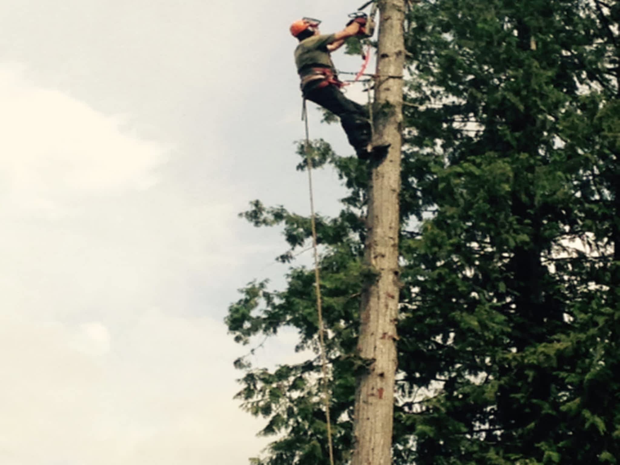 photo Pro Tree Services