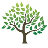 Voir le profil de M. Dales Tree Service - Stirling