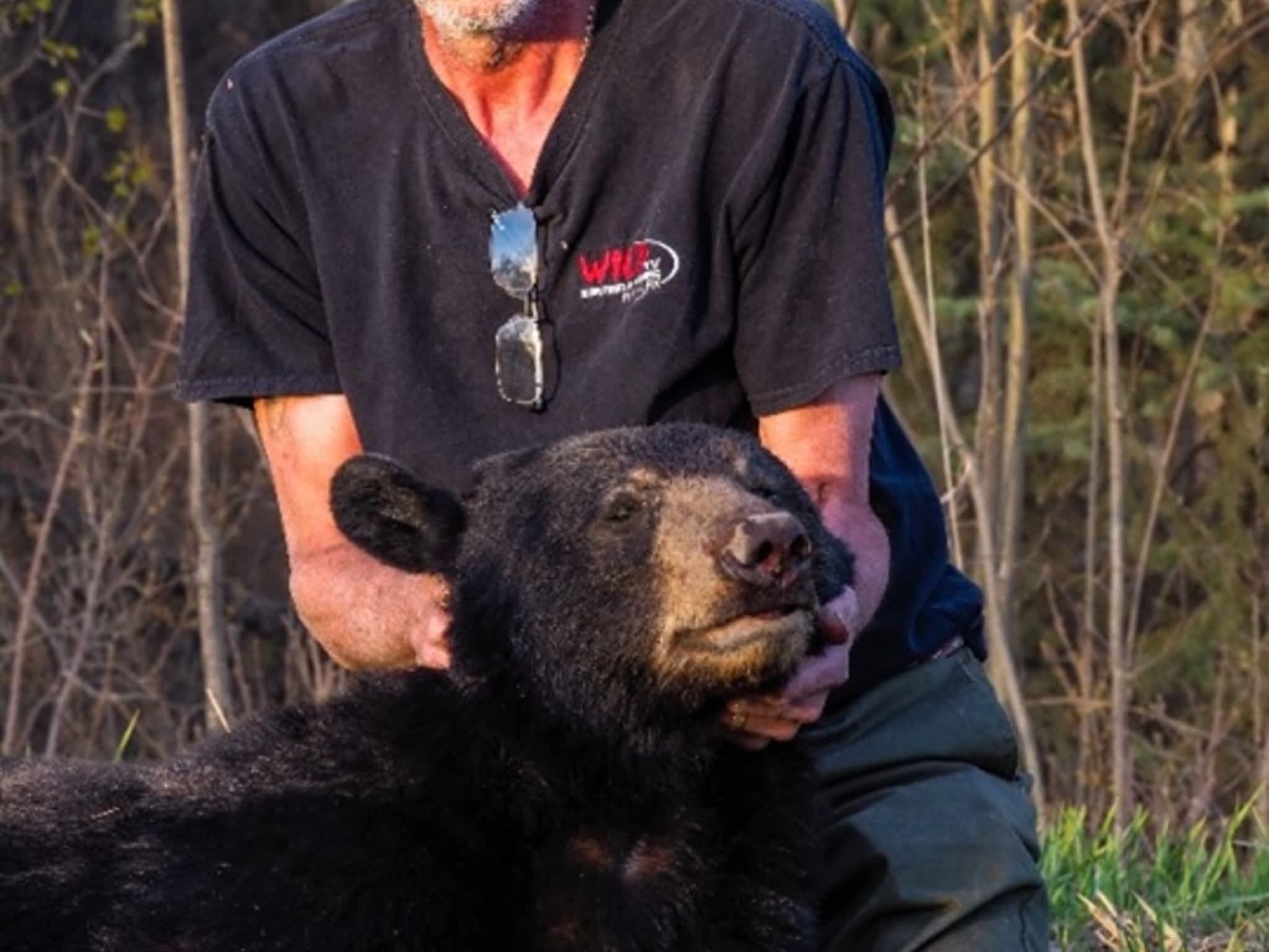 photo Bruin Taxidermy