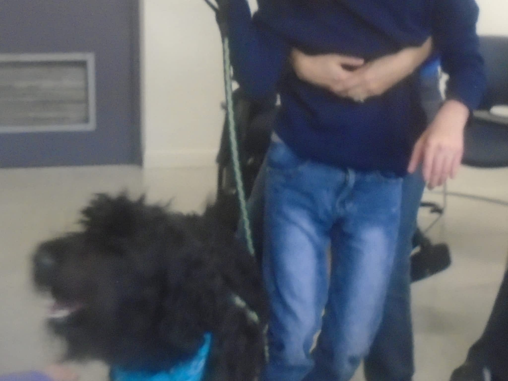 photo Services d'Interventions Mélissa Robitaille