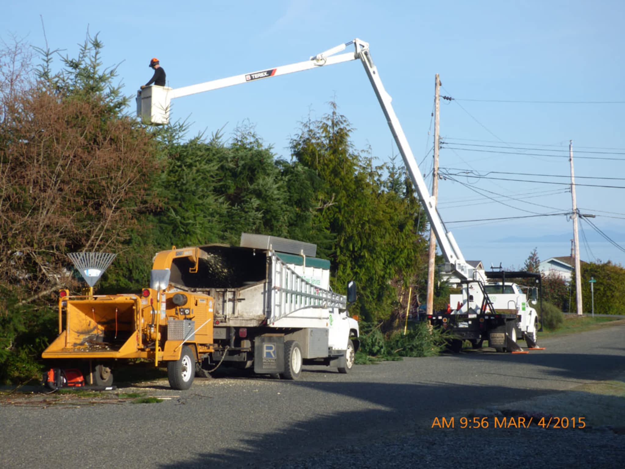 photo Treeco Tree Service