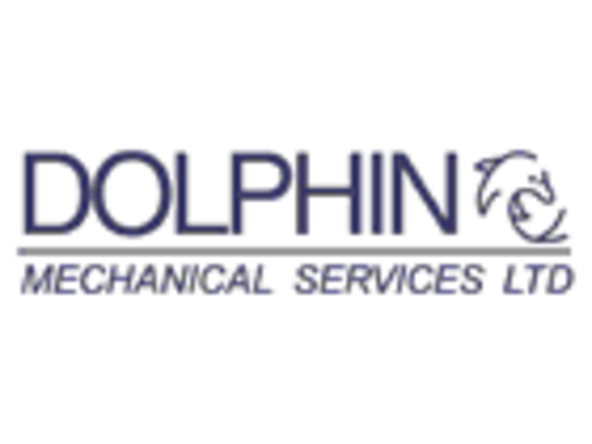photo Dolphin Mechanical Heavy Equipment Repairs