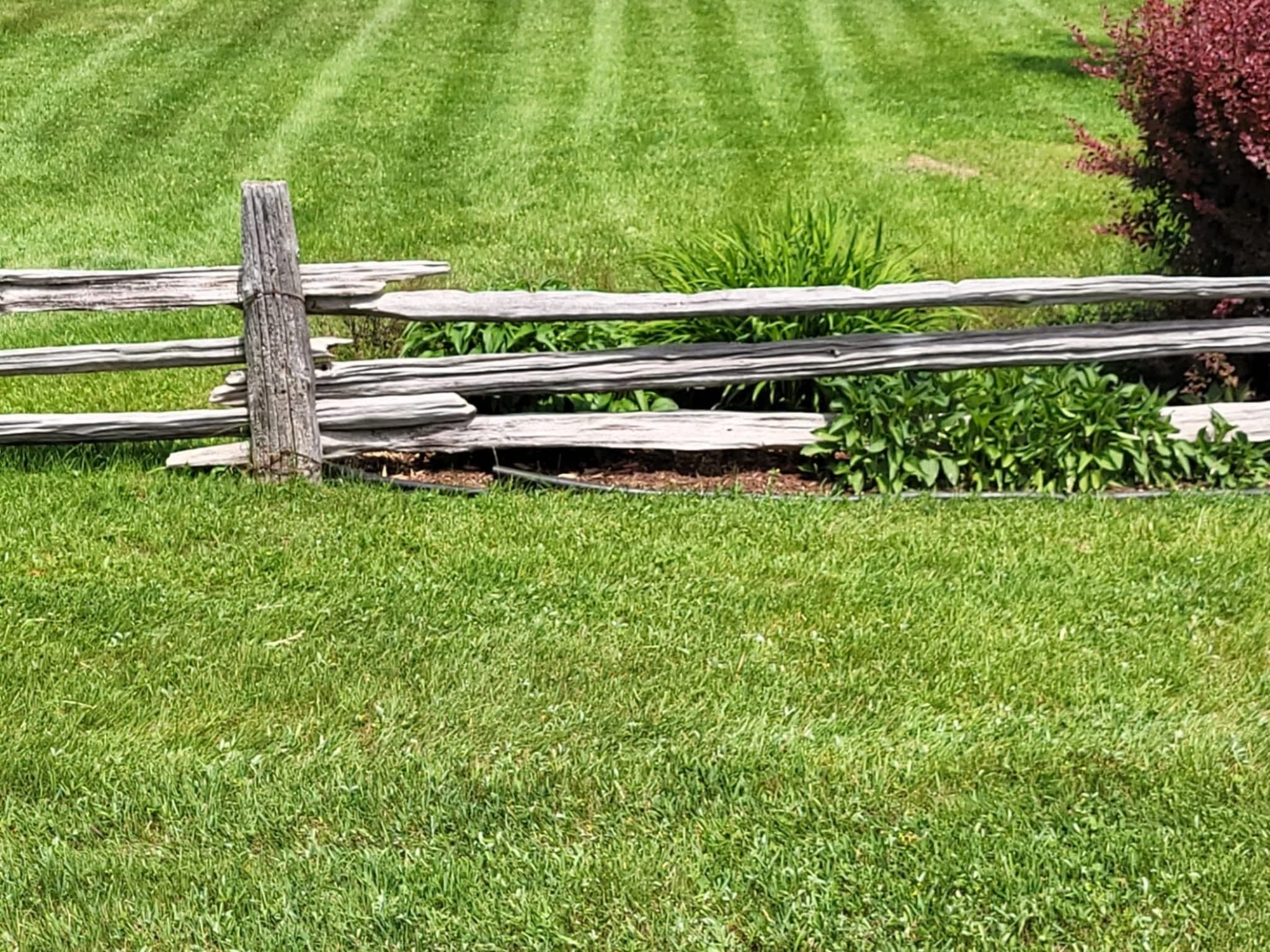 photo MIDL Entretien de Terrain