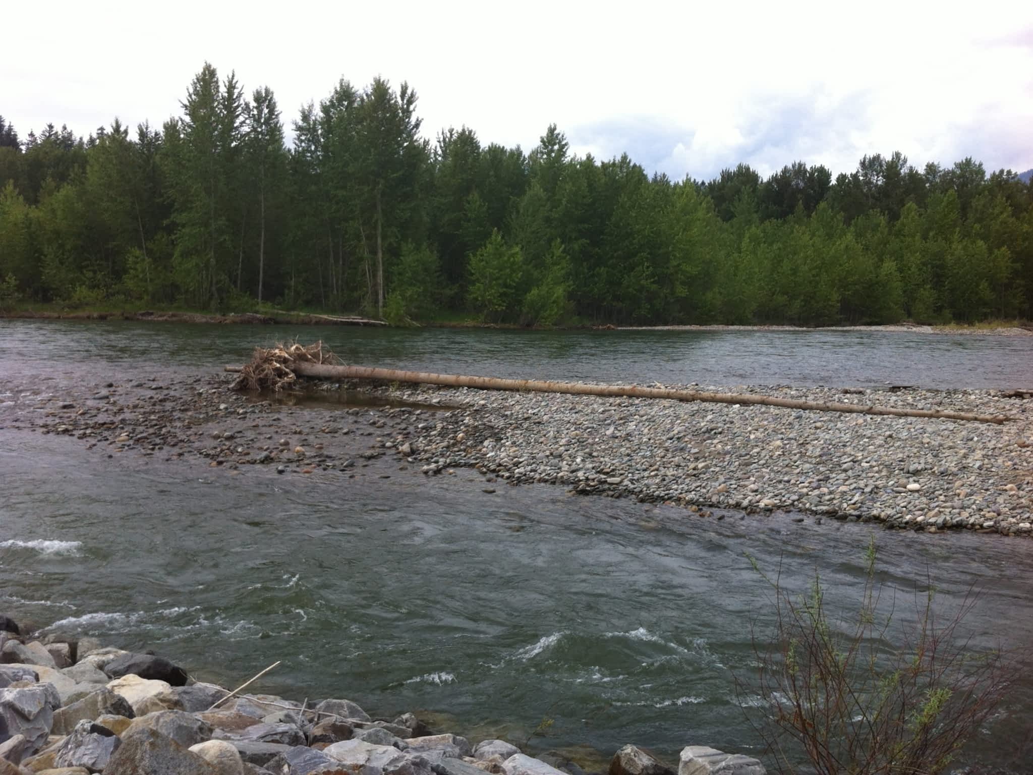 photo Boreal Forest Apothecaries