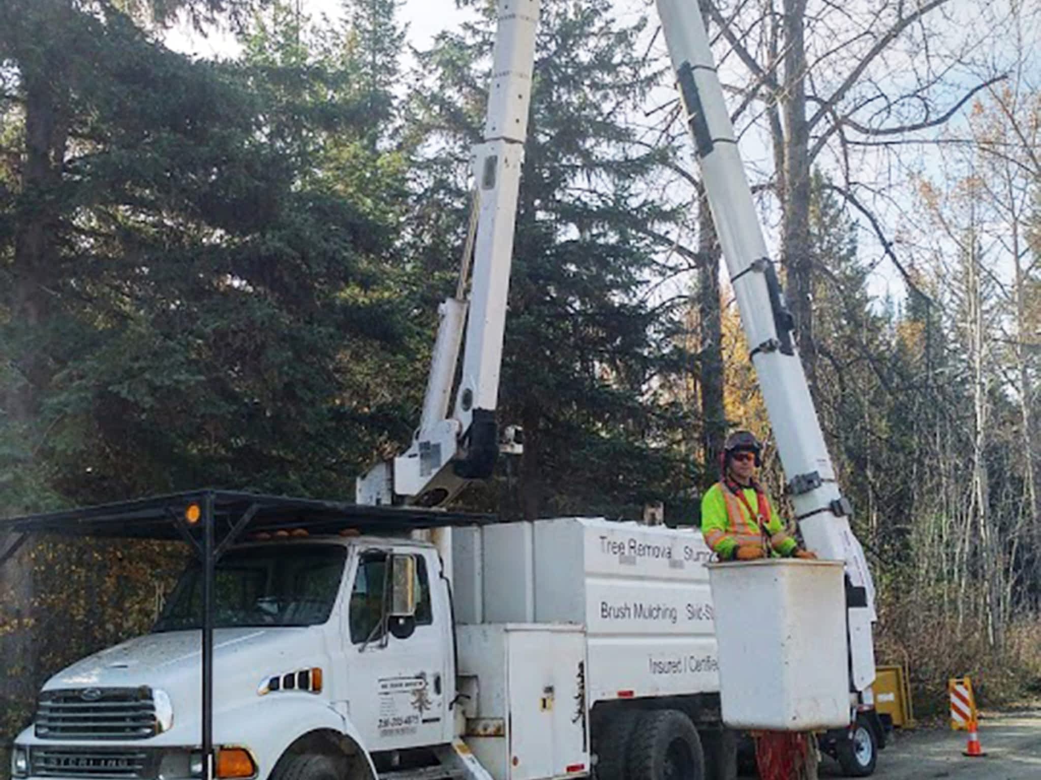 photo Ricks Tree Removal
