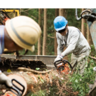 Backwoods Tree Service & Stump Removal - Logo