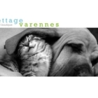 Toilettage Varennes - Toilettage et tonte d'animaux domestiques