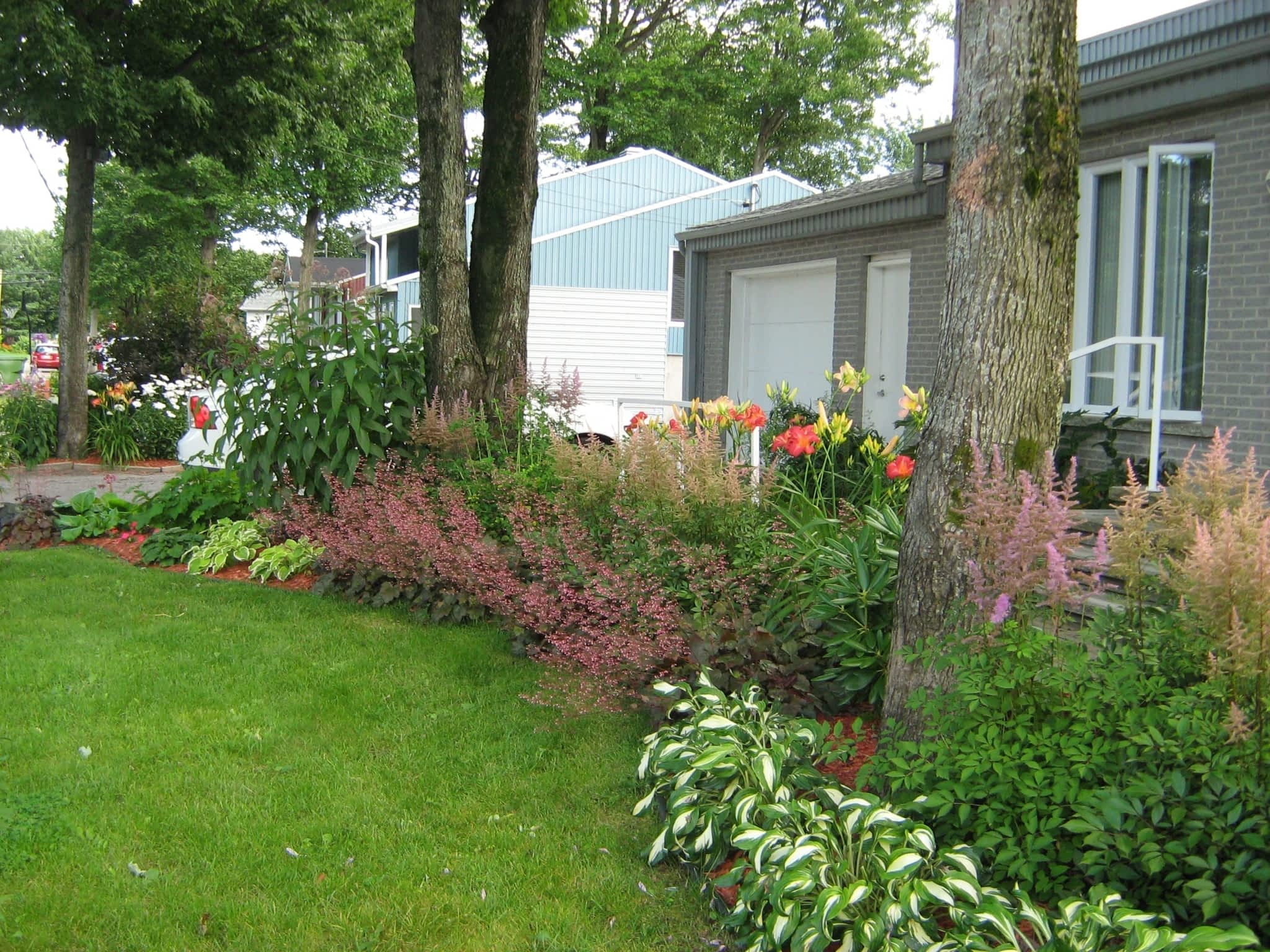 photo L'Effeuilleuse