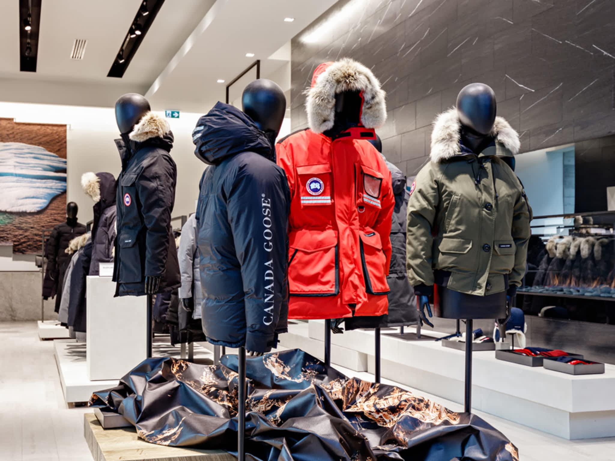 photo Canada Goose Toronto