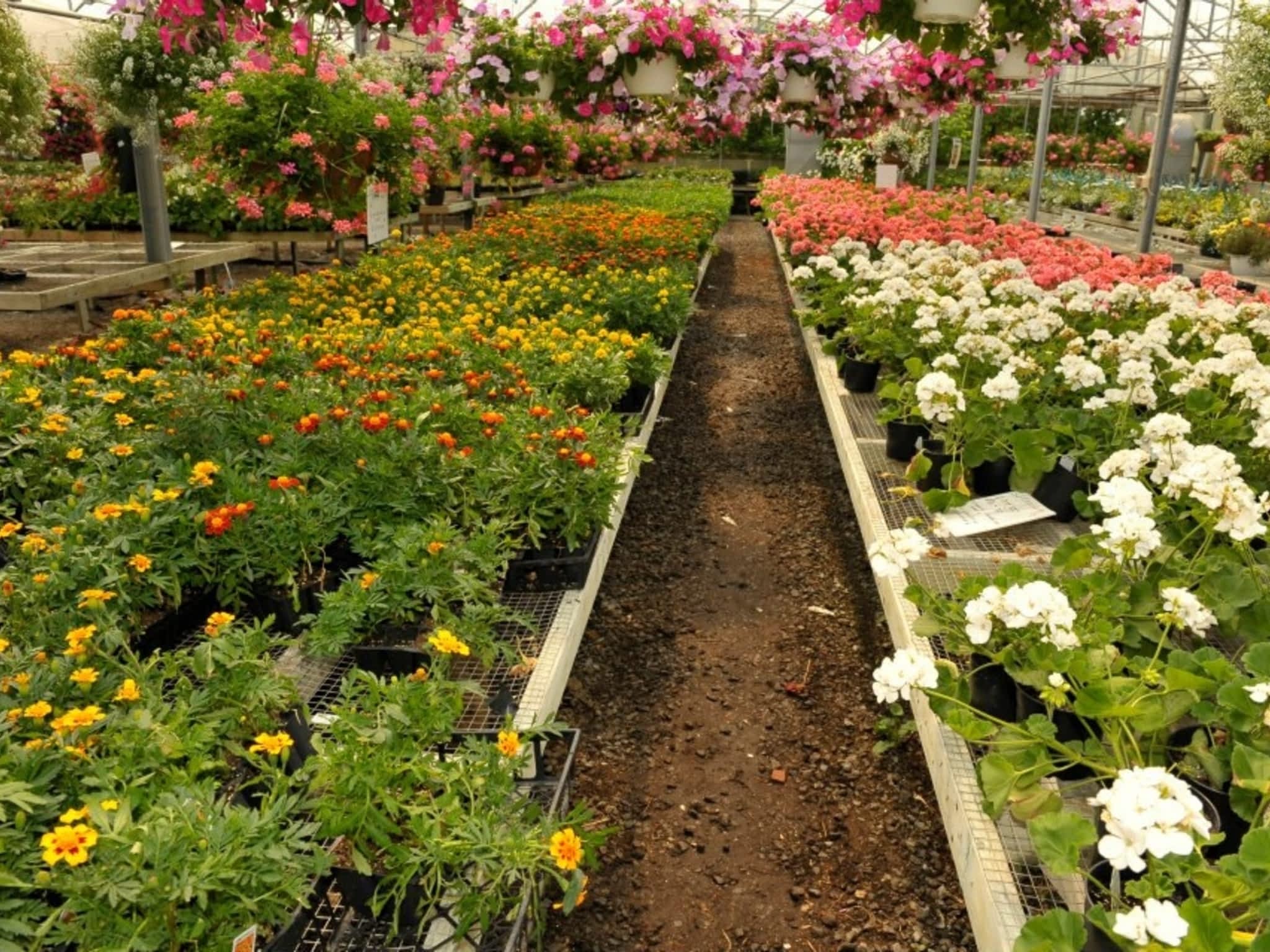 photo Nesbitt's Greenhouses