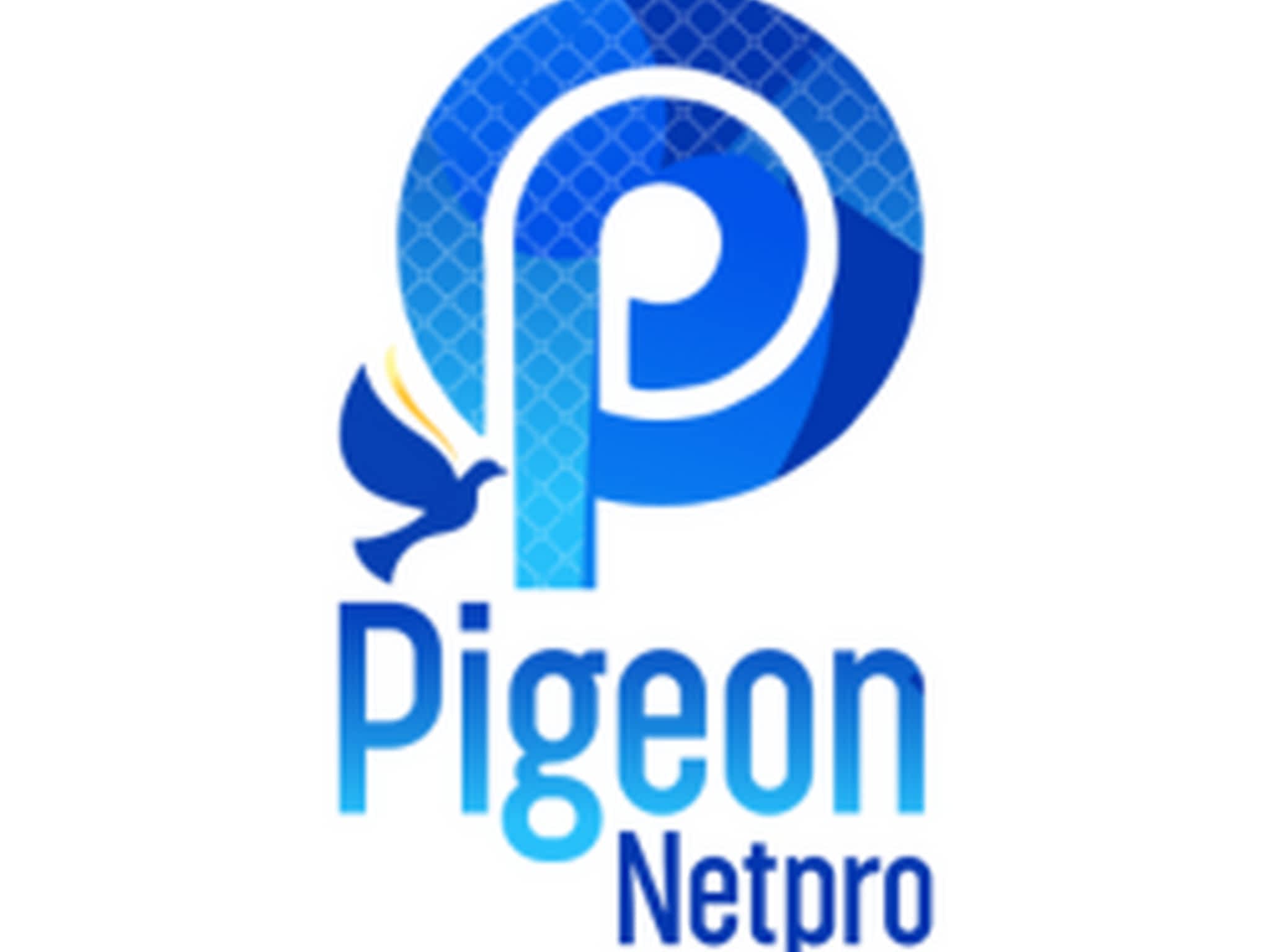 photo Pigeon Netpro - Balcony Netting Toronto