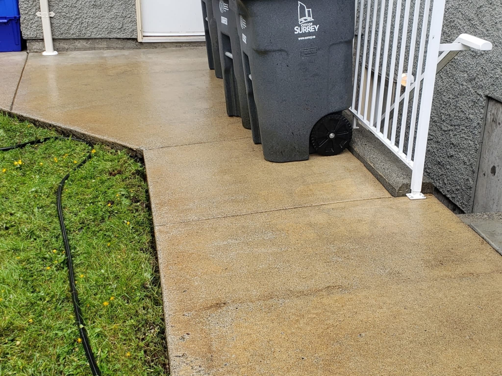 photo Spruce Up With Us