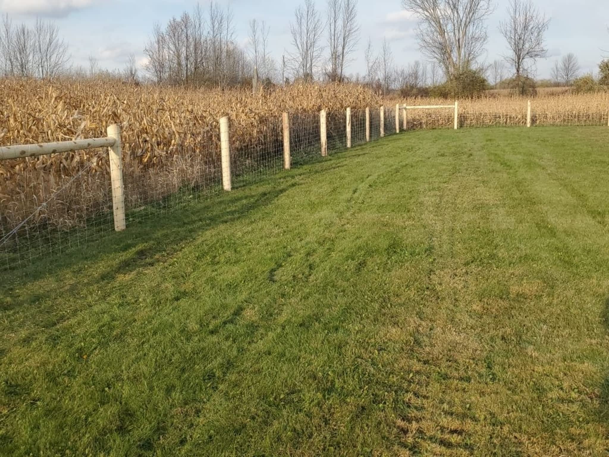 photo Hollowford Fencing