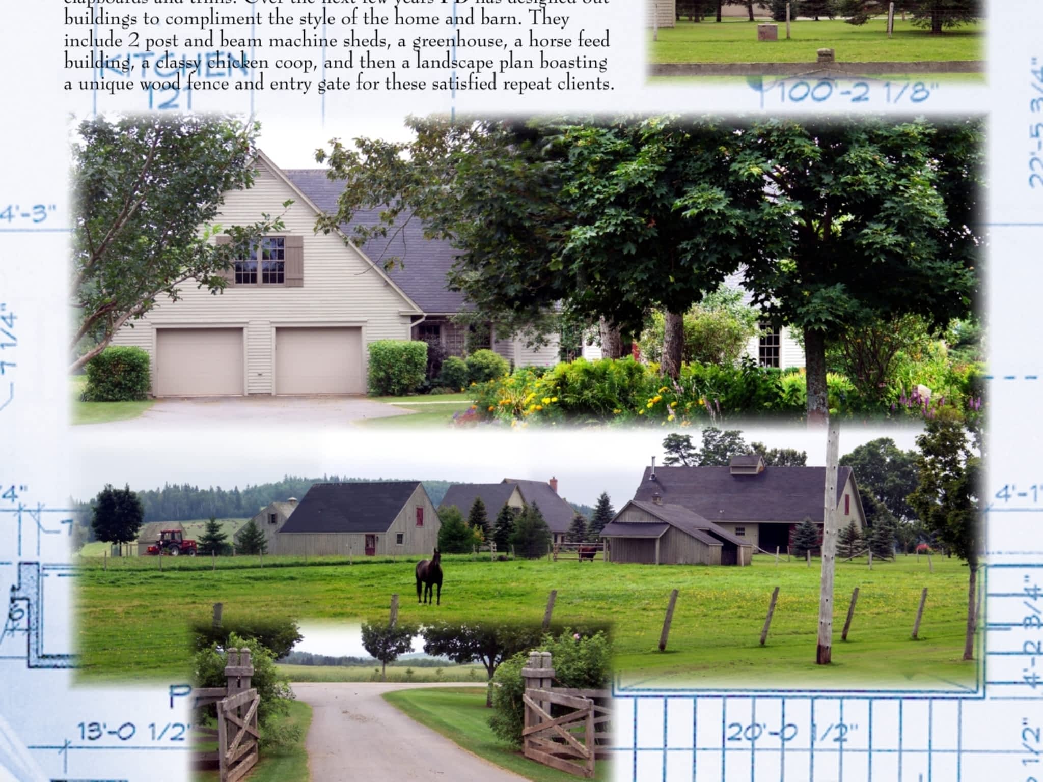 photo Polyline Designs